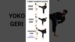 3 MOST IMPORTANT KARATE KICKS | #maegeri #yokogeri #mawashigeri