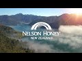 NELSON HONEY