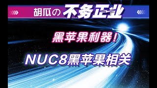 【胡瓜搞机】Intel的小玩具，NUC8为何能成为黑苹果利器（下）