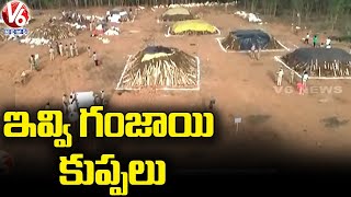 Police Heavy Ganjai Burned In Andhra Pradesh And Conduct Operation Parivartan | V6 News