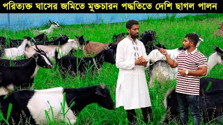 পরিত্যক্ত ঘাসের জমিতে মুক্তচারন পদ্ধতিতে দেশি ছাগল পালন করে বাজিমাত শাকিল ভাইয়ের।