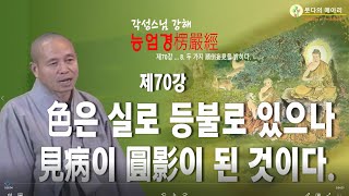 각성스님 강해_능엄경 제70강 / 두가지 전도 망견을 밝히다. 색은 실로 등불로 있으나 견병이 원영이 된 것이다