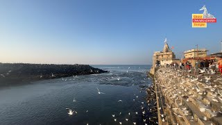 Dwarkadhish Temple Dhwaja Arohan Dt.15/02/2024