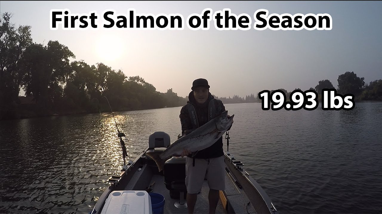 First Salmon Of 2020 -- Sacramento River Salmon Fishing - YouTube