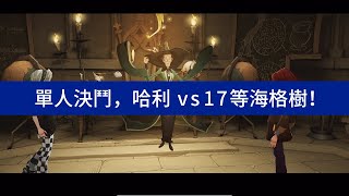 【哈利波特：魔法覺醒】學院單人決鬥，哈利vs17等海格樹！#82