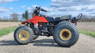 Facebook Marketplace Flipping! $100 Suzuki Quad Runner!