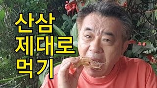 산삼 제대로 먹기