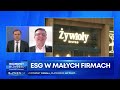 esg w małej firmie