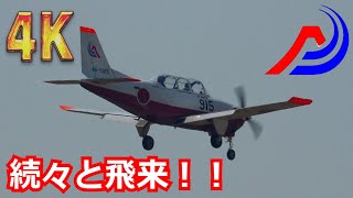 【4K】T-7が続々と飛来！静浜基地「第11飛行教育団」離着陸訓練 in岐阜基地【航空自衛隊】