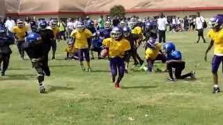 2014 AYF Pre-Season Hi Lites