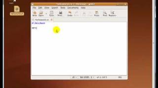Basic Bash Scripting Lesson #1