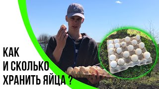 Мускусные утки / Сбор инкубационного яйца и его хранение / Птицеводство