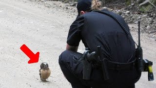 Animals That Asked People for Help & Kindness Caught On Camera !