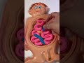 Vintage Fix Me Up Doc Playdoh Set #nostalgia #asmr #playdoh