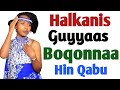 Halkanis Guyyaas Boqonnaa Hin Qabu