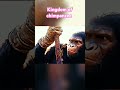 Kingdom of chimpanzee #movie recap #film