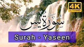 Surat Yaseen | Surah Yasin | Beautiful Quran Surah Yaseen Recitation | Hafiz Arshad Ahmad