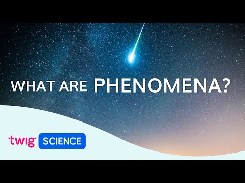 What are examples of scientific phenomenon?