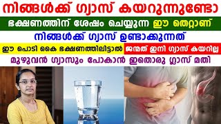 ഈ പൊടികൈ ഭക്ഷണത്തിലിട്ടാണ് പിന്നീട് ഗ്യാസിന്റെ പ്രശ്നം വരില്ല|