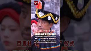 贵州非物质文化遗产展示 Guizhou lntangible Cultural HeritageiExhibition #shorts