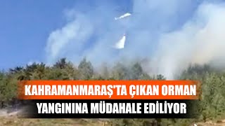 Türkoğlu İlçesinde Orman Yangını