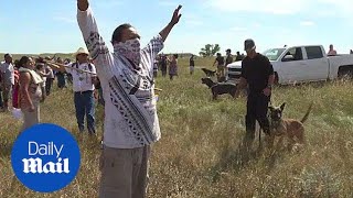 Native Americans protest over The North Dakota pipeline - Daily Mail