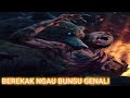 Besatup Ngau Bunsu Genali…