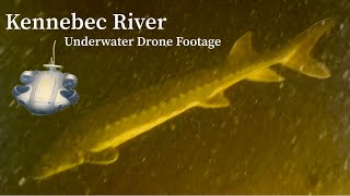 Underwater Drone Footage Kennebec River, Gardiner