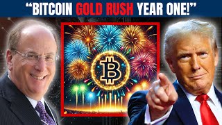 Bitcoin's Historic Year and 2025 Outlook!