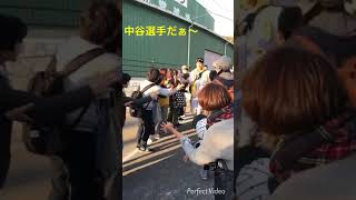 阪神 中谷イケメン！