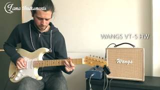 Wangs VT-5HW - Amplificador - Gain Test