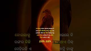 କିଛି ଲୋକଙ୍କ ପ୍ରକୃତି କେବେ ବଦଳି ନ ଥାଏ | Odia Motivational Shorts Video #odia #quotes #odiamotivational