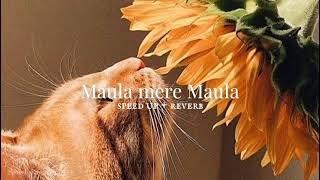 Maula mere maula (sped up + reverb)♡