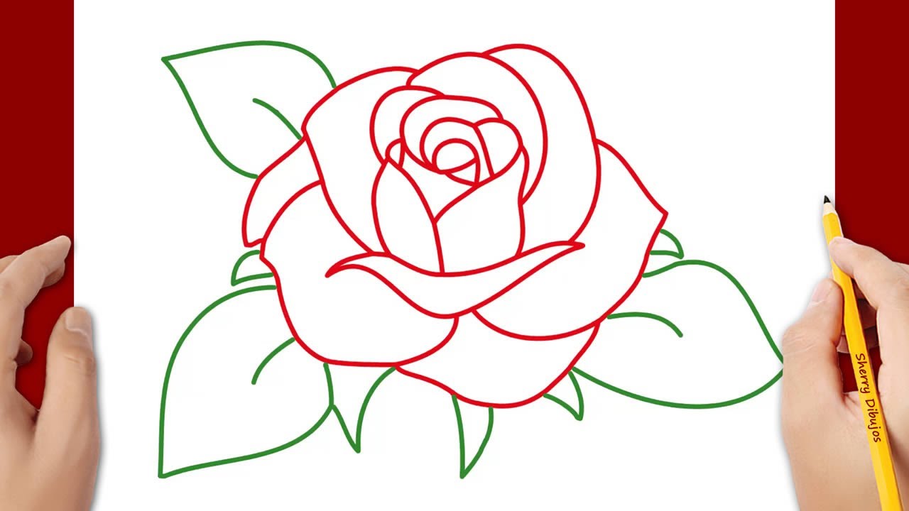 Dibujos Fáciles Rosas Cómo Dibujar Una Rosa Fácil Jrplkg