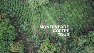 Monteverde Coffee Tour