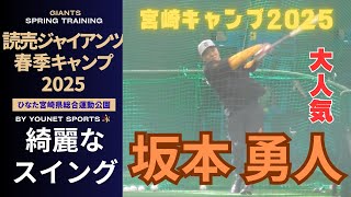 【綺麗】坂本勇人のバッティング（宮崎キャンプ2025 2 9）