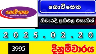 govisetha 3995 2025.02.20today DLB lottery Results ලොතරැයි ප්‍රතිඵල අංක govisetha