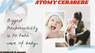 ATOMY CERABEBE || THE BEST BABY PRODUCTS || +91-8348364708