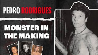 Pedro Rodrigues: The Brazilian Vigilante Serial Killer | Crime Story Documentary