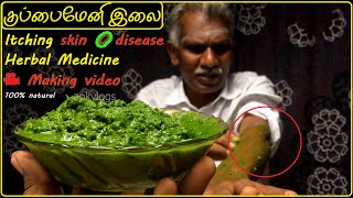 குப்பைமேனி இலை 🍃| தோல் அரிப்பு | Itching skin 🦠disease Herbal Medicine 🎥Making video | apkvlogs tips