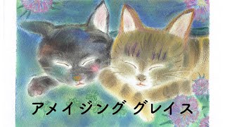 【 パンフルート 】 アメイジンググレイス       RunaSaraProject   Vol.2【panflute】