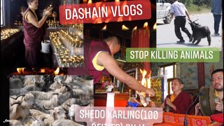 Happy Dashain 2077|| Shedo Karling (100 deities) puja|| Stop killing Animals|| Dashain Vlog ||