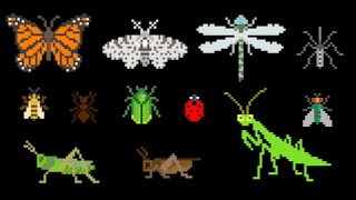 Insects - Animals Series - Bugs - The Kids' Picture Show (Fun & Educational Lear