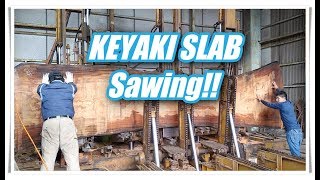 KEYAKI SLAB SAWING!!