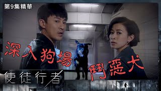 使徒行者 | 第9集精華  | 深入狗場鬥惡犬 | 林峯 | 許紹雄