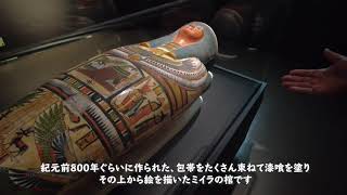 「大英博物館ミイラ展　古代エジプト６つの物語」の内覧会を取材