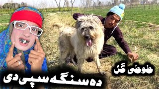 Da Singa Spe De || Pashto New Funny Video 2023 by Tuti Gull Vines