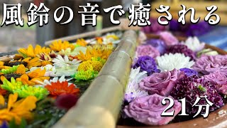 【花手水】札幌護国神社2023年7月ロングバージョン【ASMR】