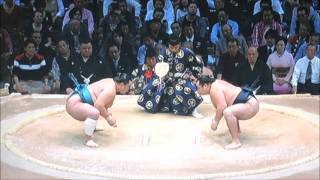 平成28年大相撲九州場所8日目　　鶴竜　　玉鷲