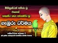 සතුන්ටත් අවබෝධ වූ ගැඹුරු ධර්මය deep satipattana dhamma understood even by animals.